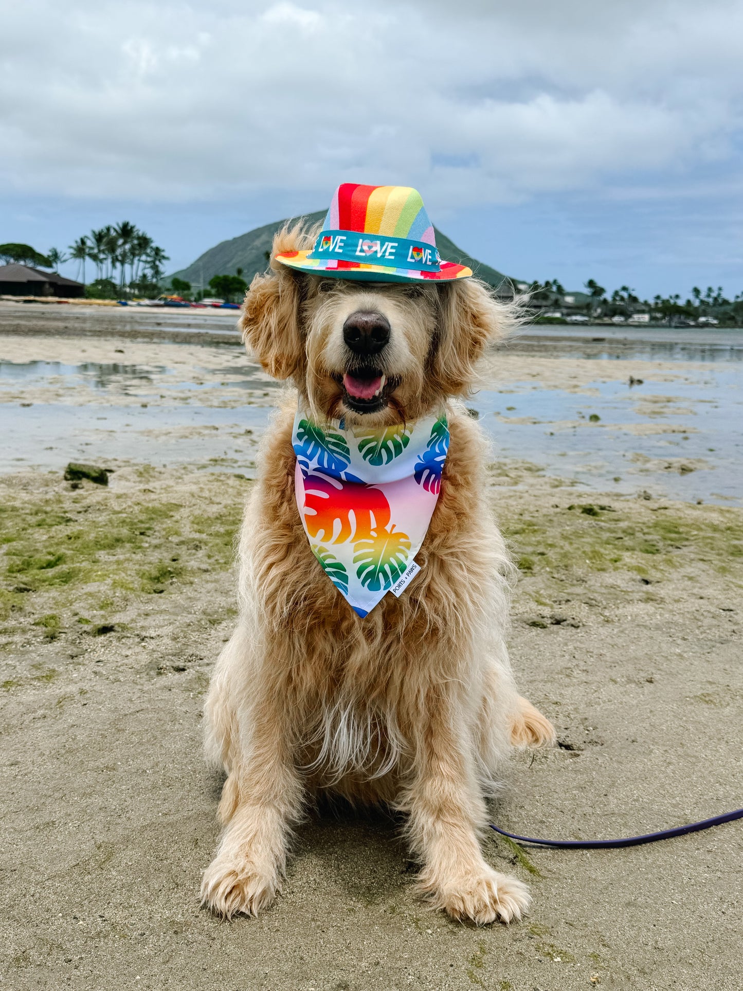 QUICK DRY BANDANA - RAINBOW MONSTERA