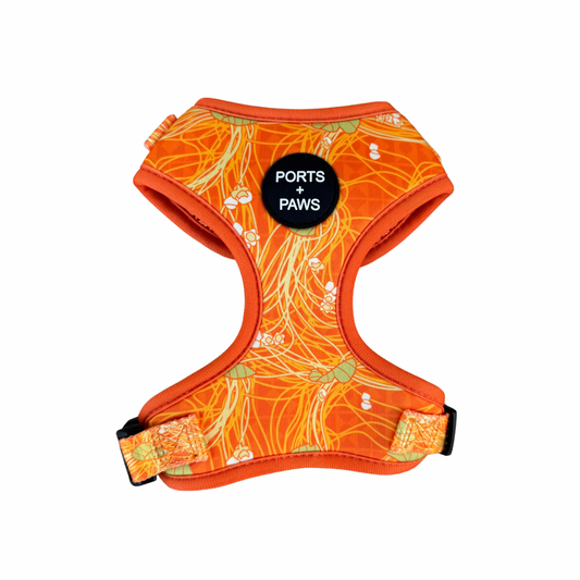 ADJUSTABLE HARNESS - LĀNAʻI KAUNAʻOA