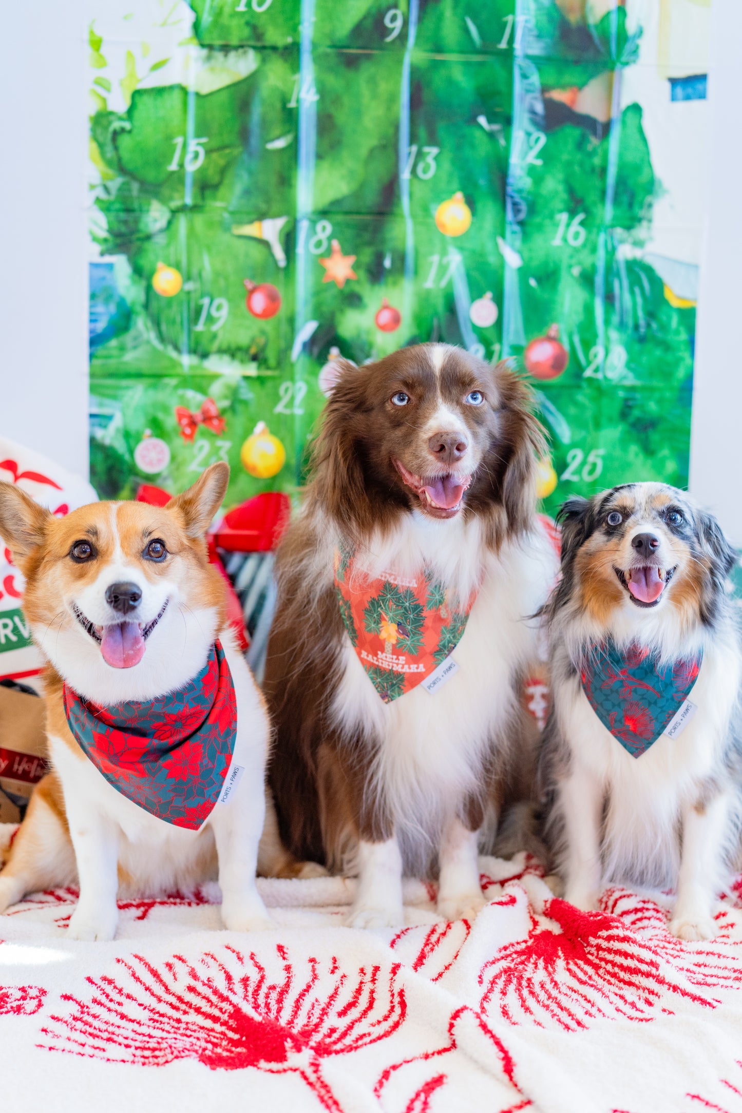 QUICK DRY BANDANA - POINSETTIA