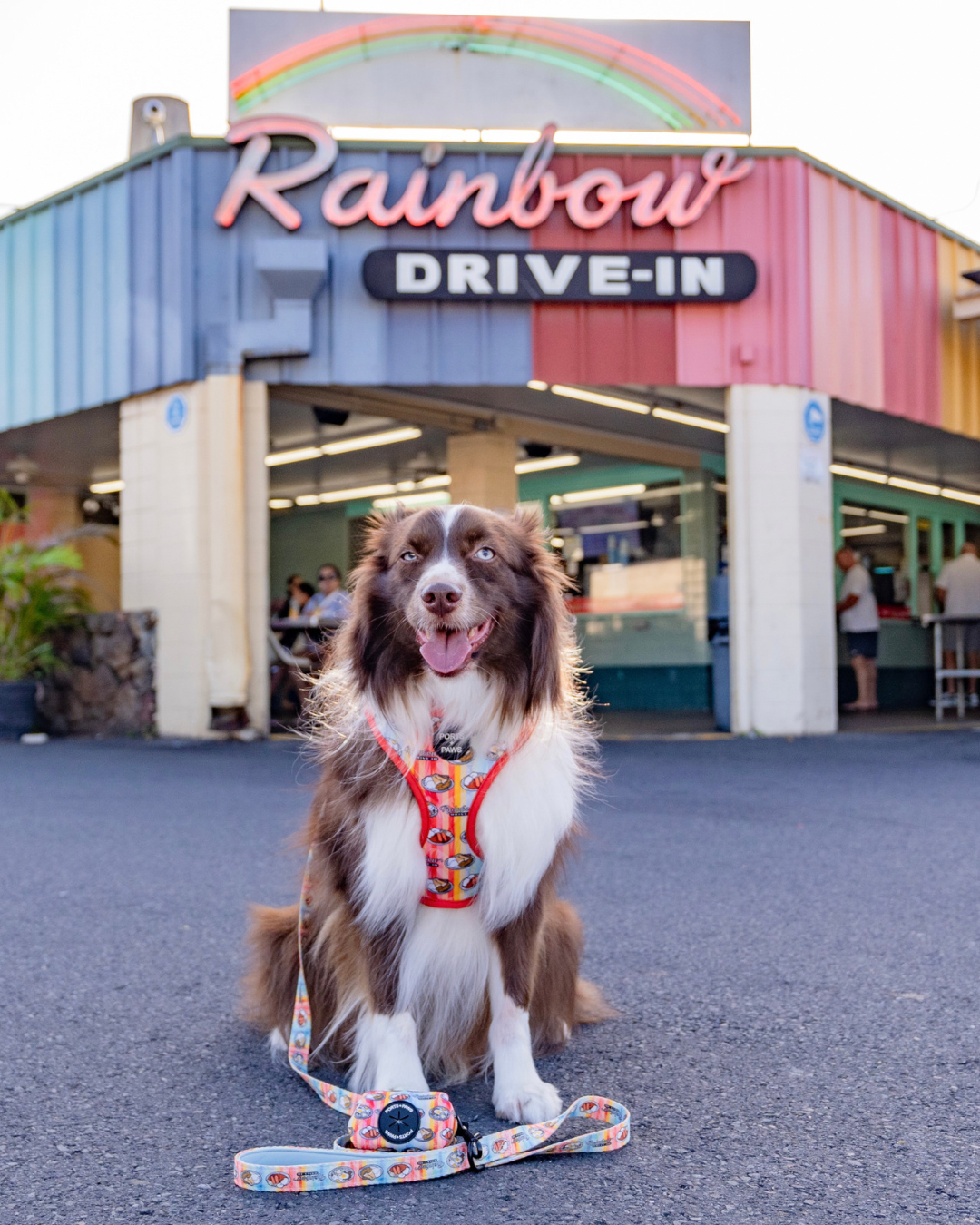 LEASH - RAINBOW DRIVE-IN