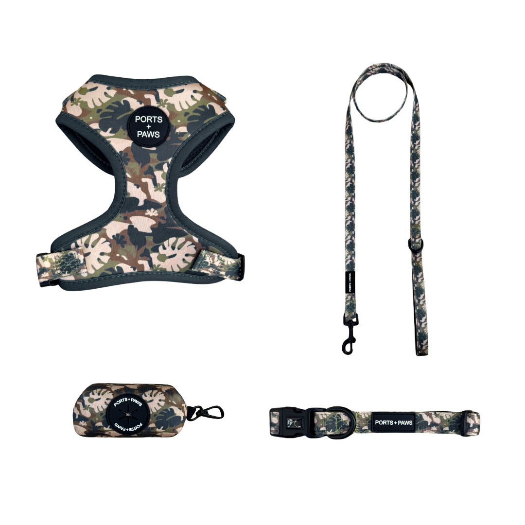 WALKIES® BUNDLE - PARADISE CAMO