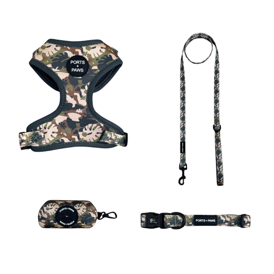 WALKIES® BUNDLE - PARADISE CAMO