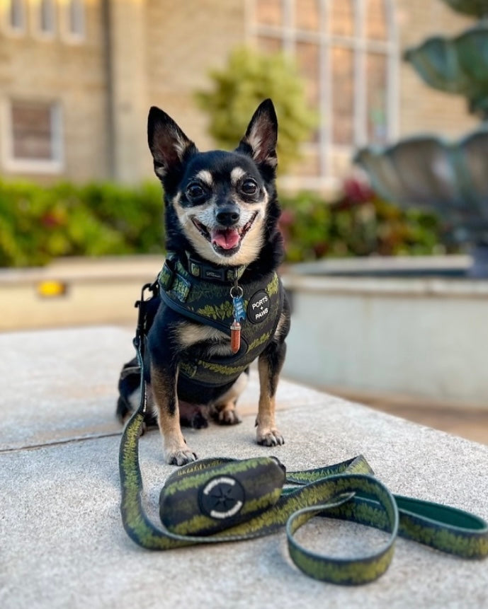 POOP BAG HOLDER - MAILE