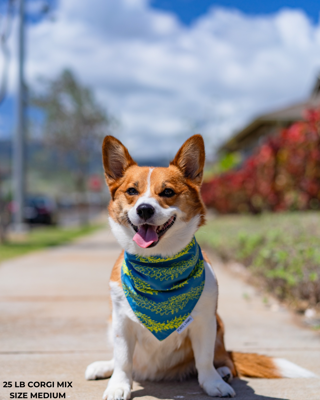 QUICK DRY BANDANA - PAKALANA LEI