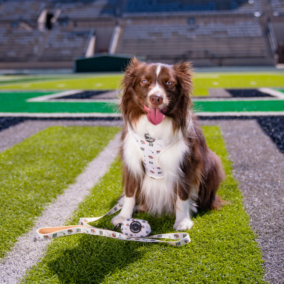 LEASH - UH VINTAGE WHITE