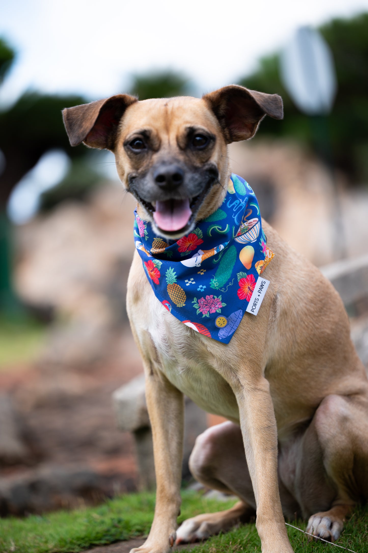 QUICK DRY BANDANA - OKINAWAN FESTIVAL NAVY