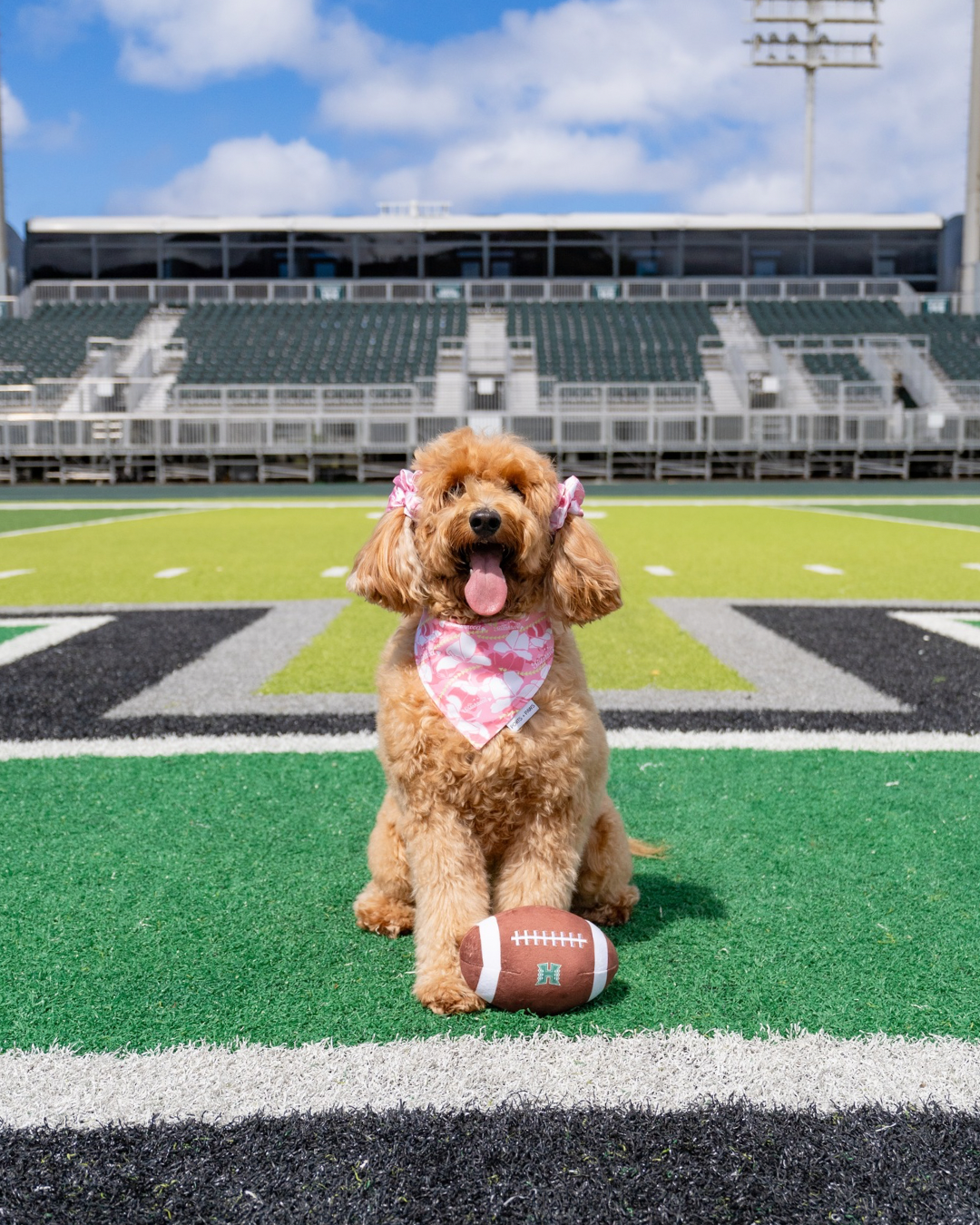 DOG TOY - UH FOOTBALL