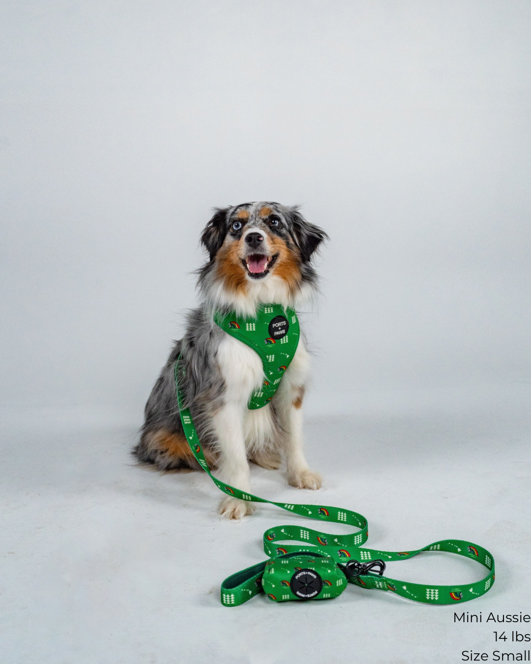 LEASH - UH VINTAGE GREEN