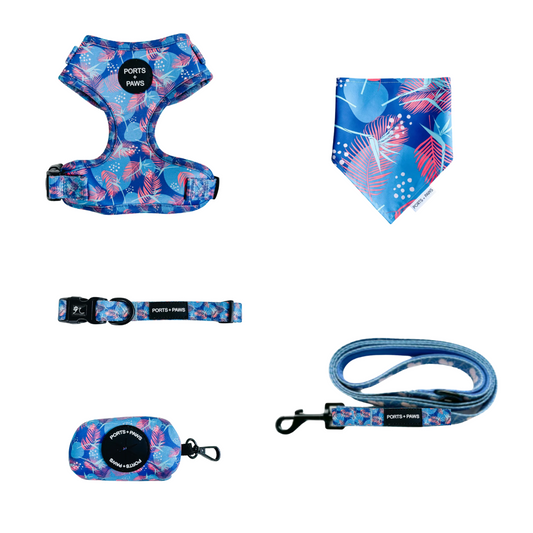 WALKIES + BANDANA BUNDLE - PORTER