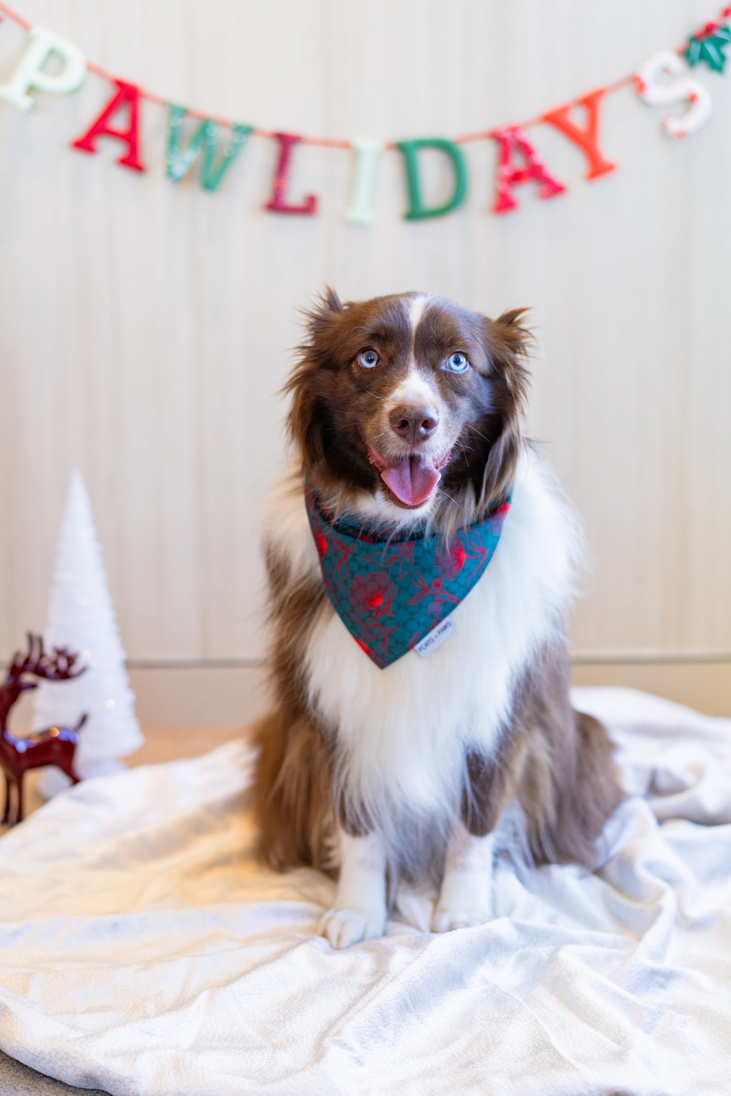 QUICK DRY BANDANA - HOLIDAY OHIA