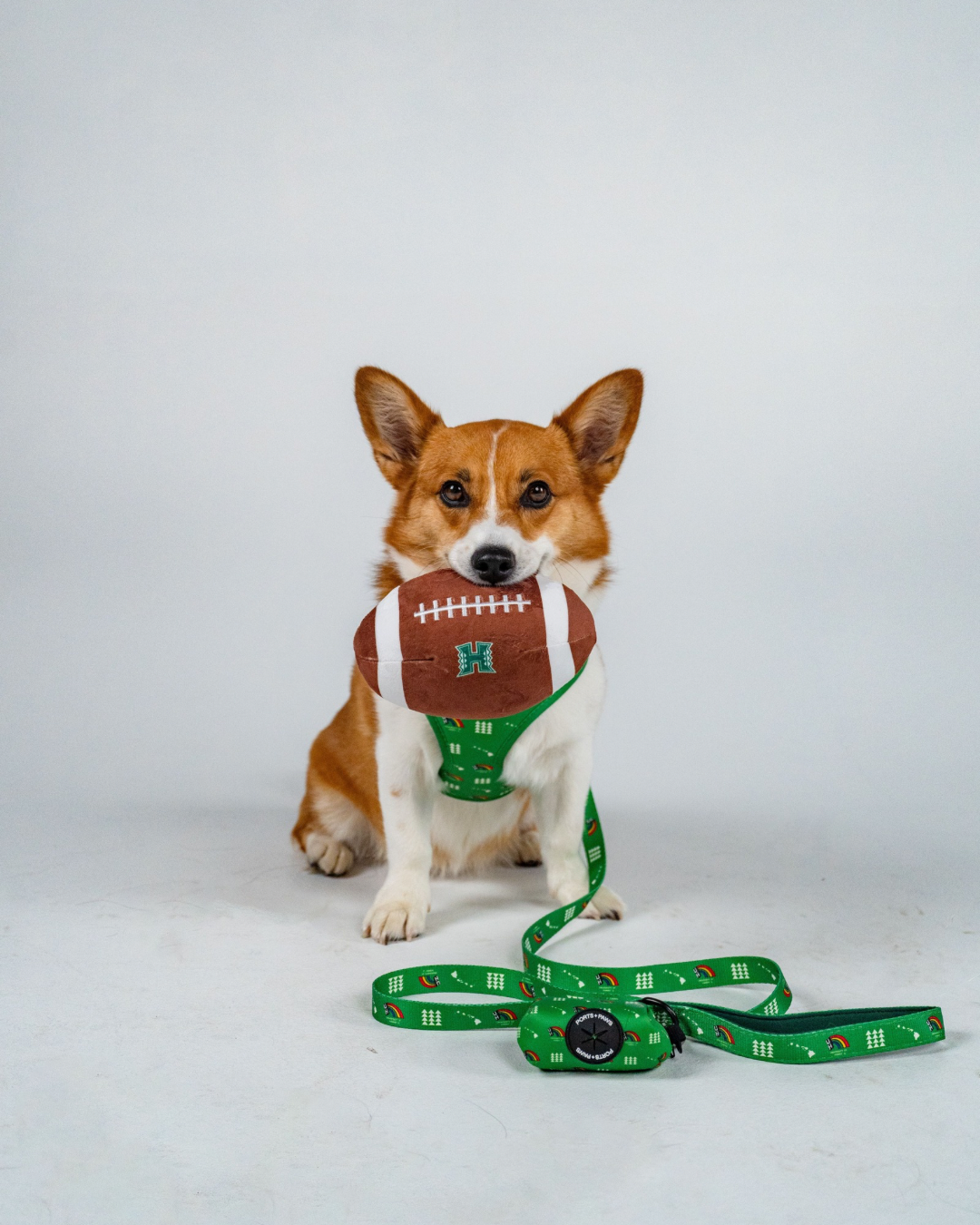 LEASH - UH VINTAGE GREEN