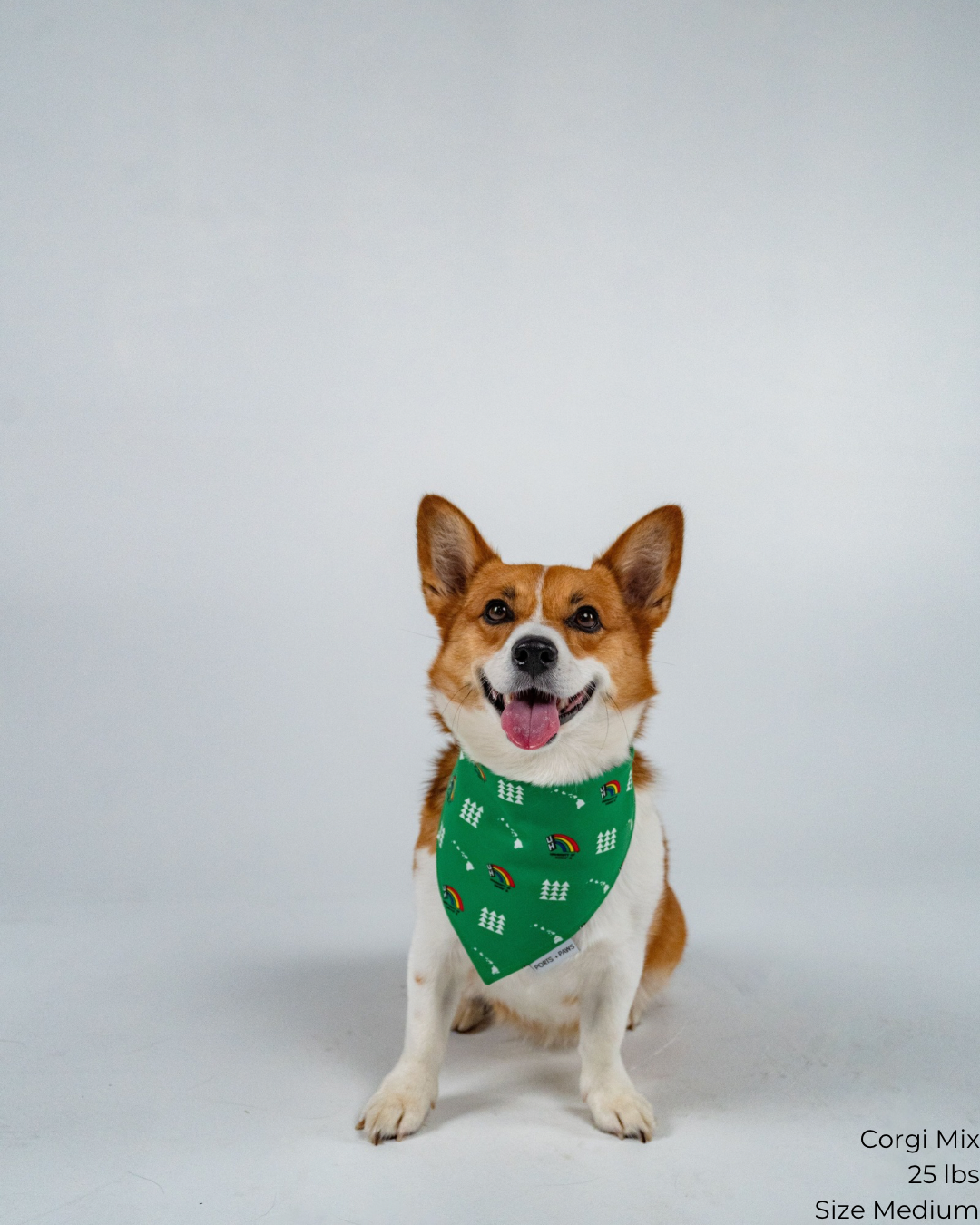 QUICK DRY BANDANA - UH VINTAGE GREEN