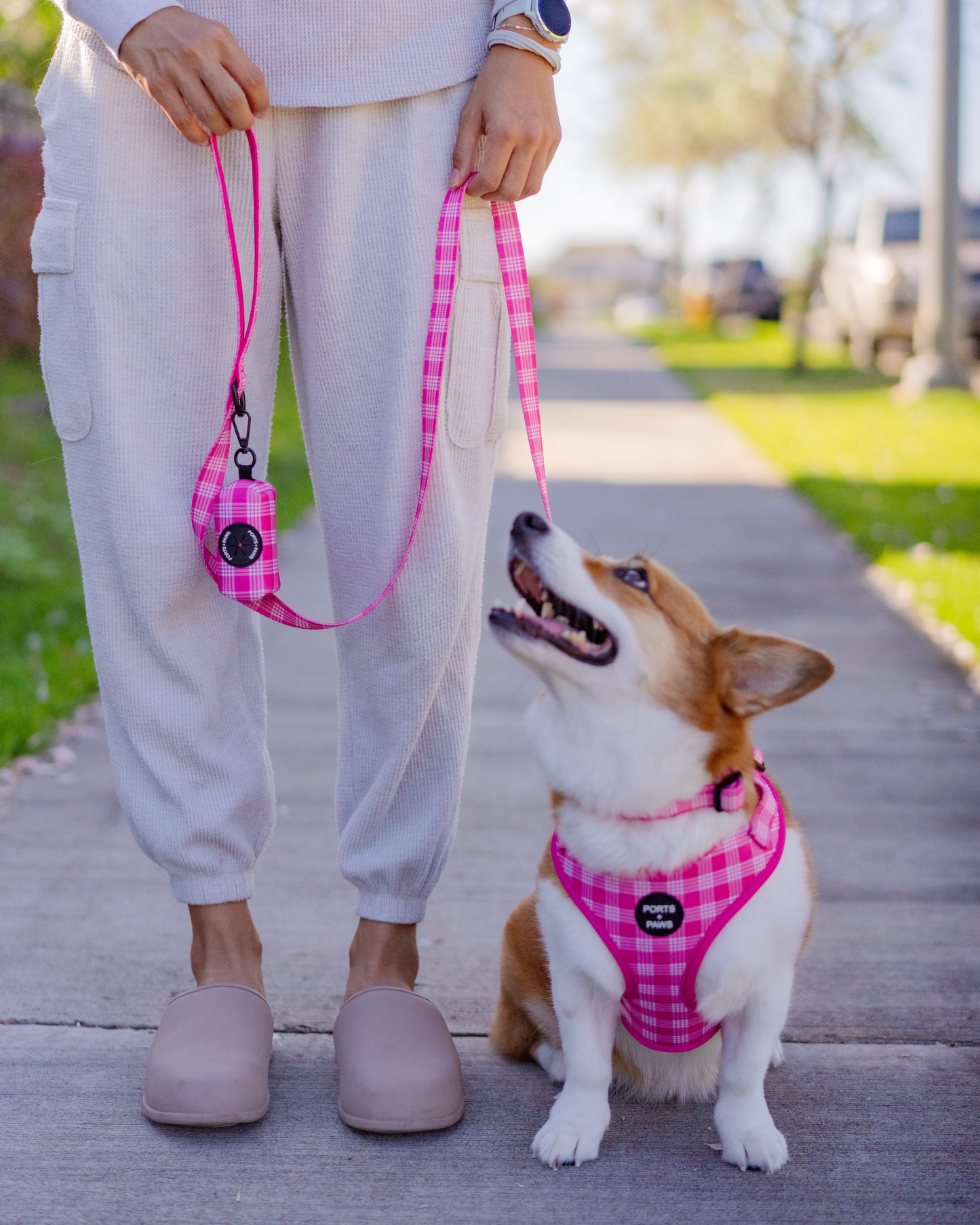 ADJUSTABLE HARNESS - PALAKA PINK