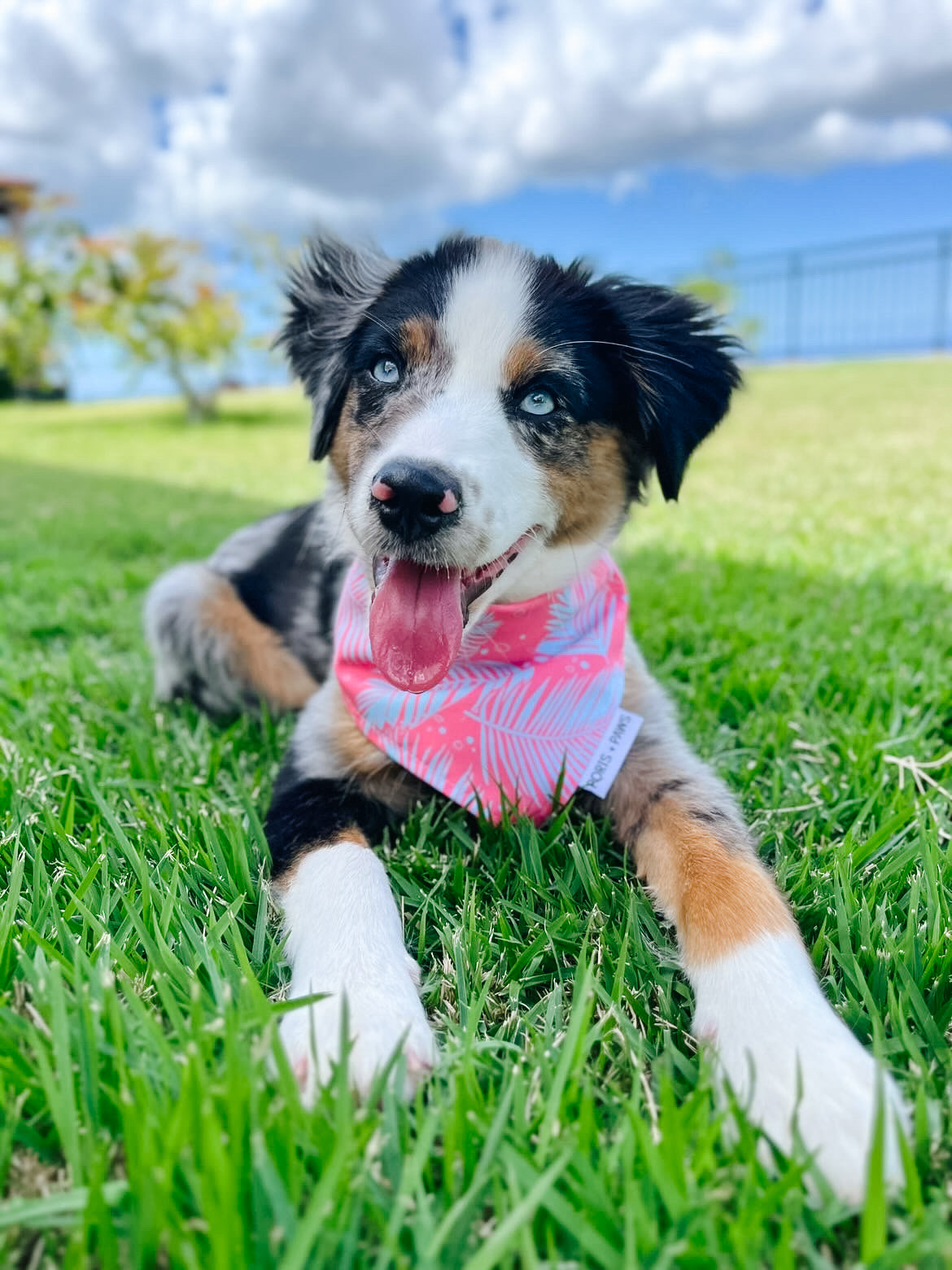 QUICK DRY BANDANA - PALM PINK/BLUE