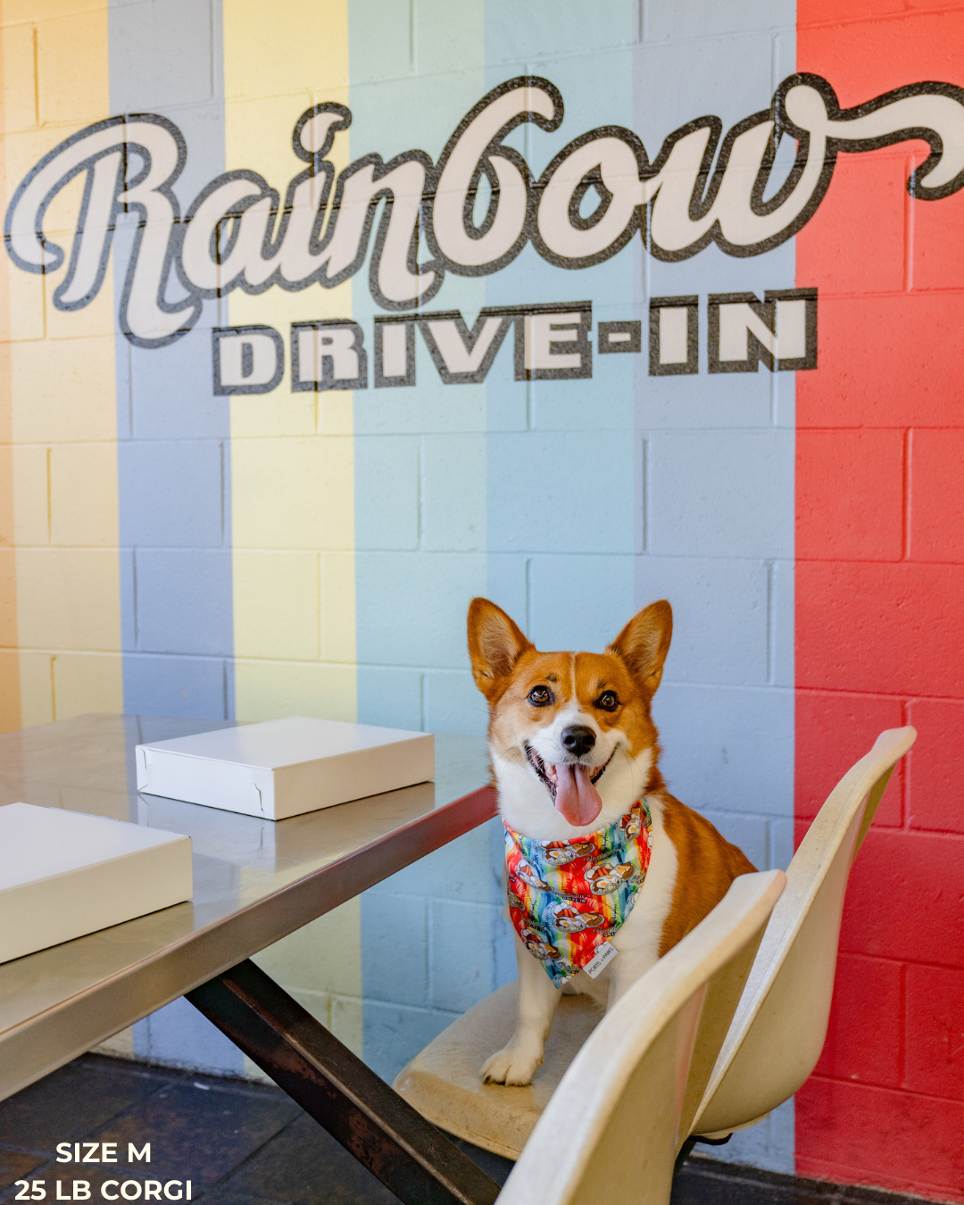 QUICK DRY BANDANA - RAINBOW DRIVE-IN