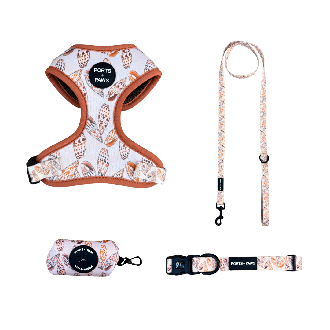 WALKIES® BUNDLE - MITER SHELL