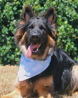 QUICK DRY BANDANA - CLOUD BLUE PALM