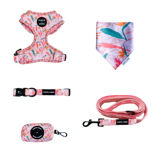 WALKIES + BANDANA BUNDLE - PAIKO