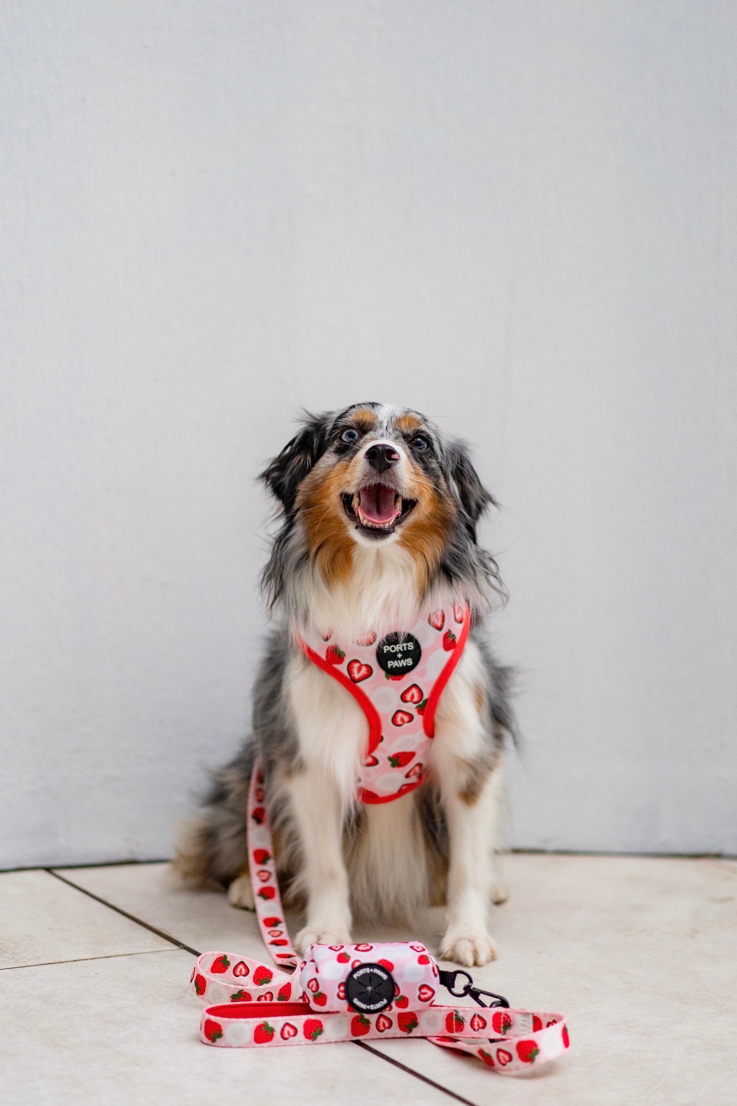 LEASH - STRAWBERRY MOCHI