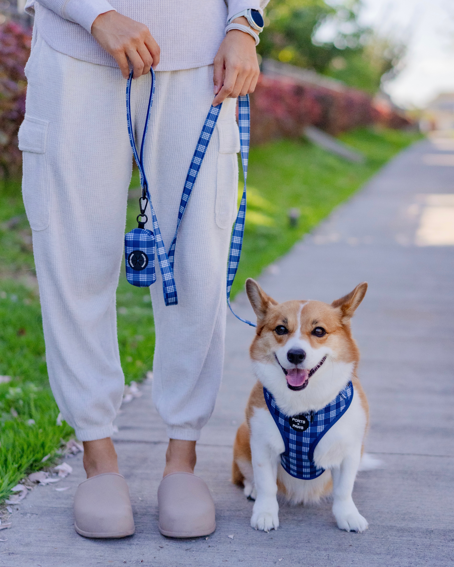 ADJUSTABLE HARNESS - PALAKA BLUE