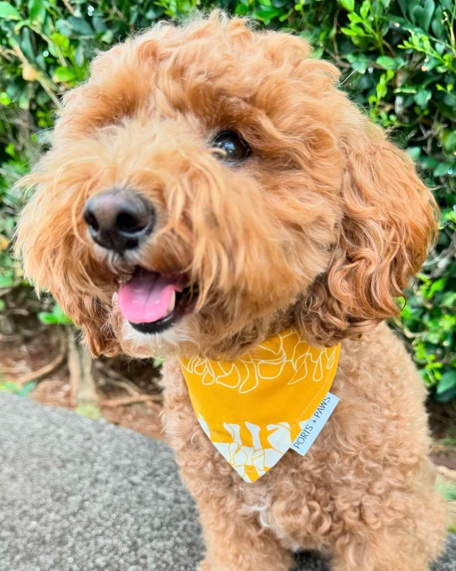 QUICK DRY BANDANA - PUAKENIKENI