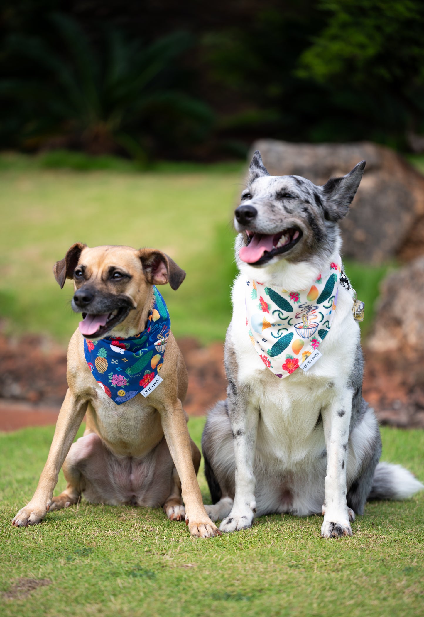 QUICK DRY BANDANA - OKINAWAN FESTIVAL SAND