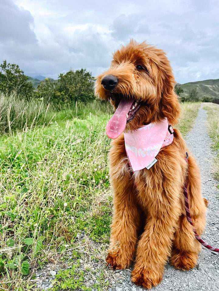 QUICK DRY BANDANA - PLUMERIA LEI