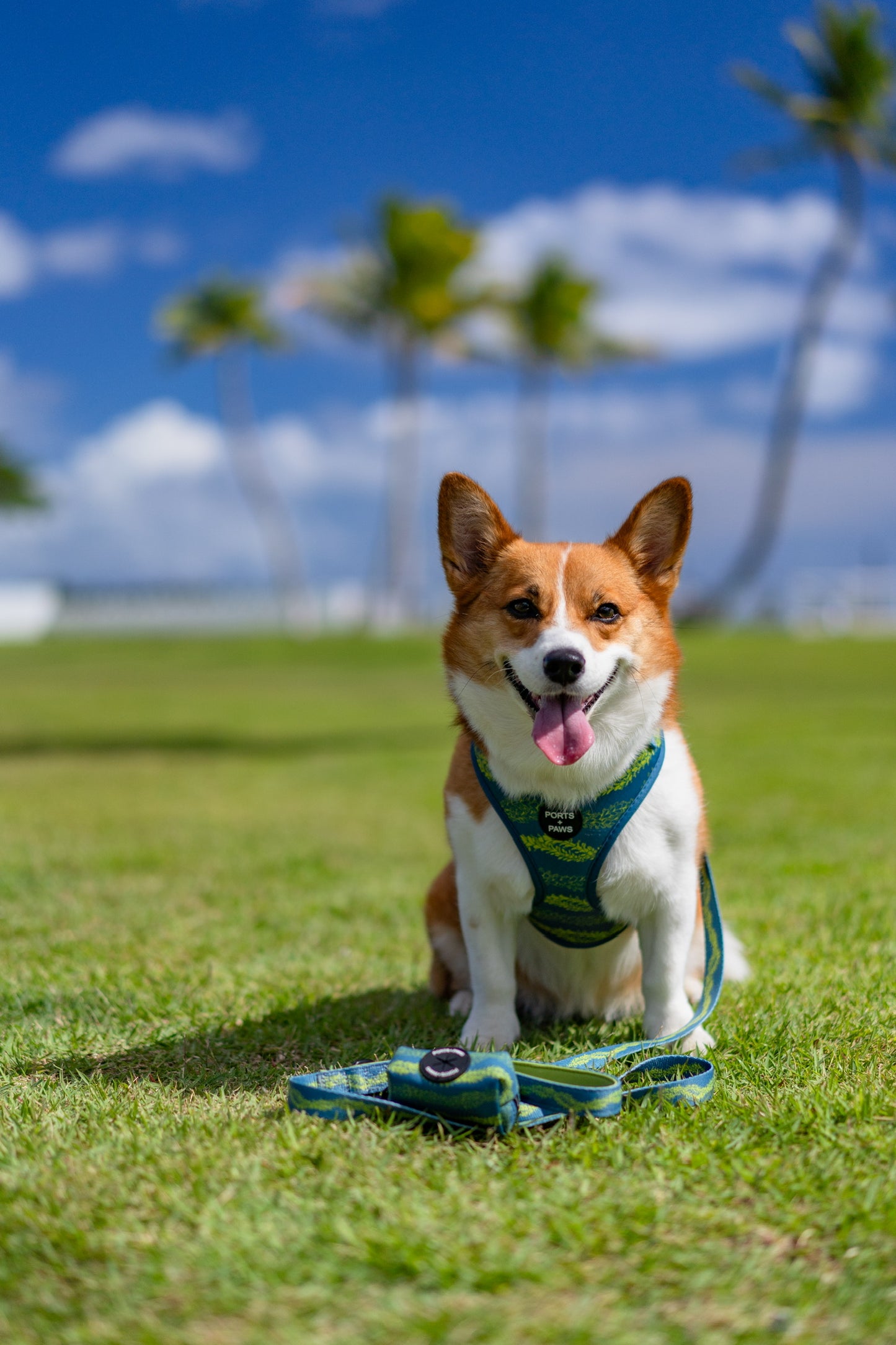 POOP BAG HOLDER - PAKALANA