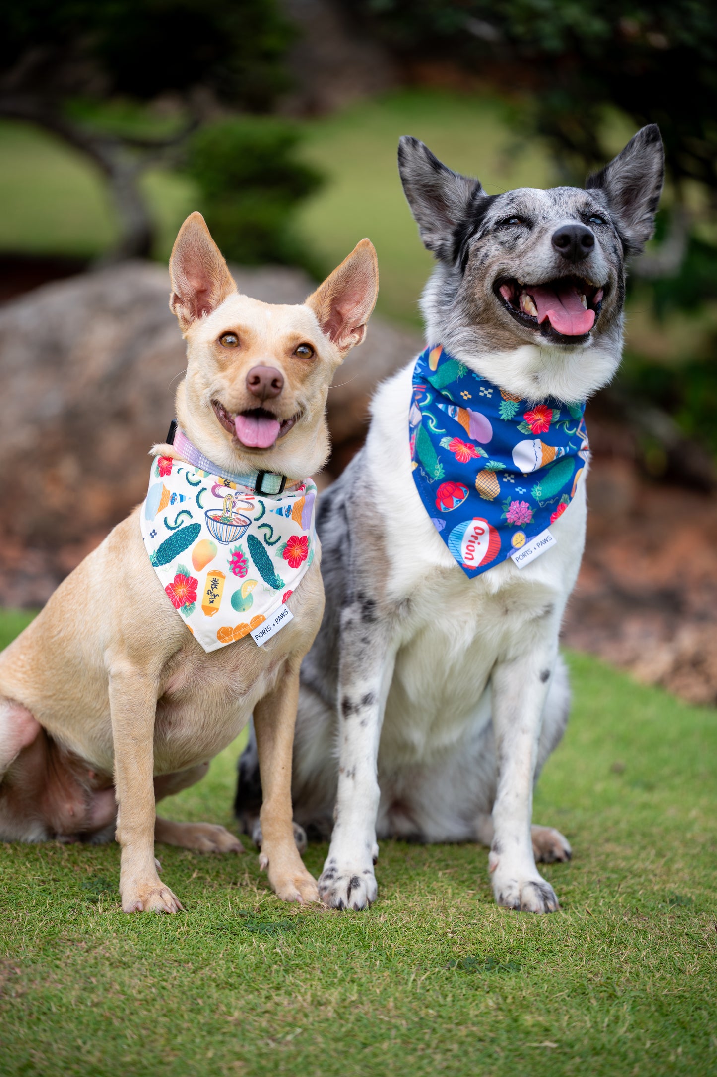 QUICK DRY BANDANA - OKINAWAN FESTIVAL SAND