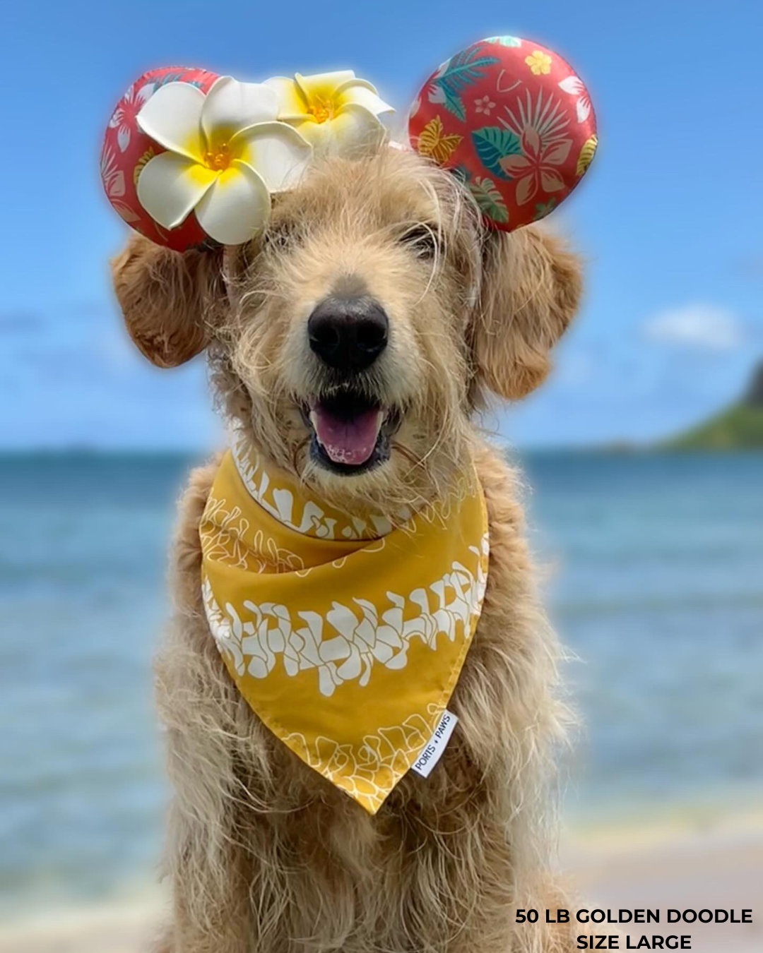 QUICK DRY BANDANA - PUAKENIKENI