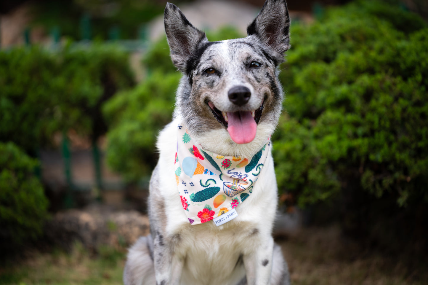 QUICK DRY BANDANA - OKINAWAN FESTIVAL SAND