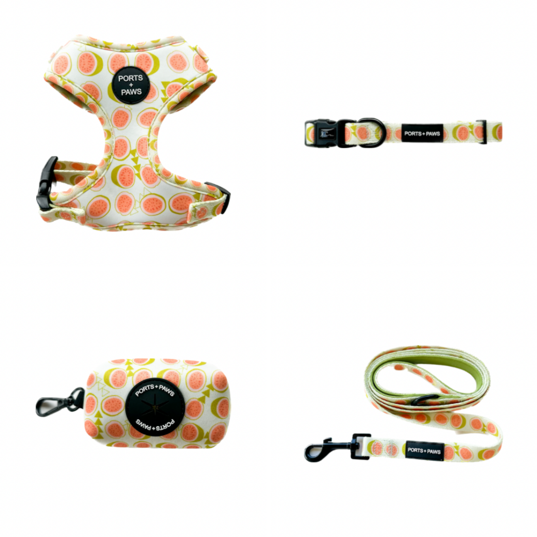 WALKIES BUNDLE - GUAVA