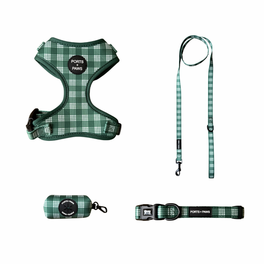 WALKIES BUNDLE - PALAKA GREEN