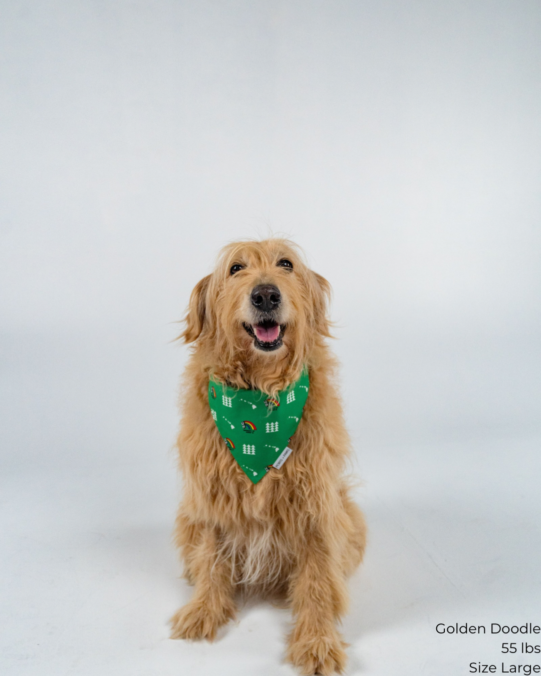 QUICK DRY BANDANA - UH VINTAGE GREEN