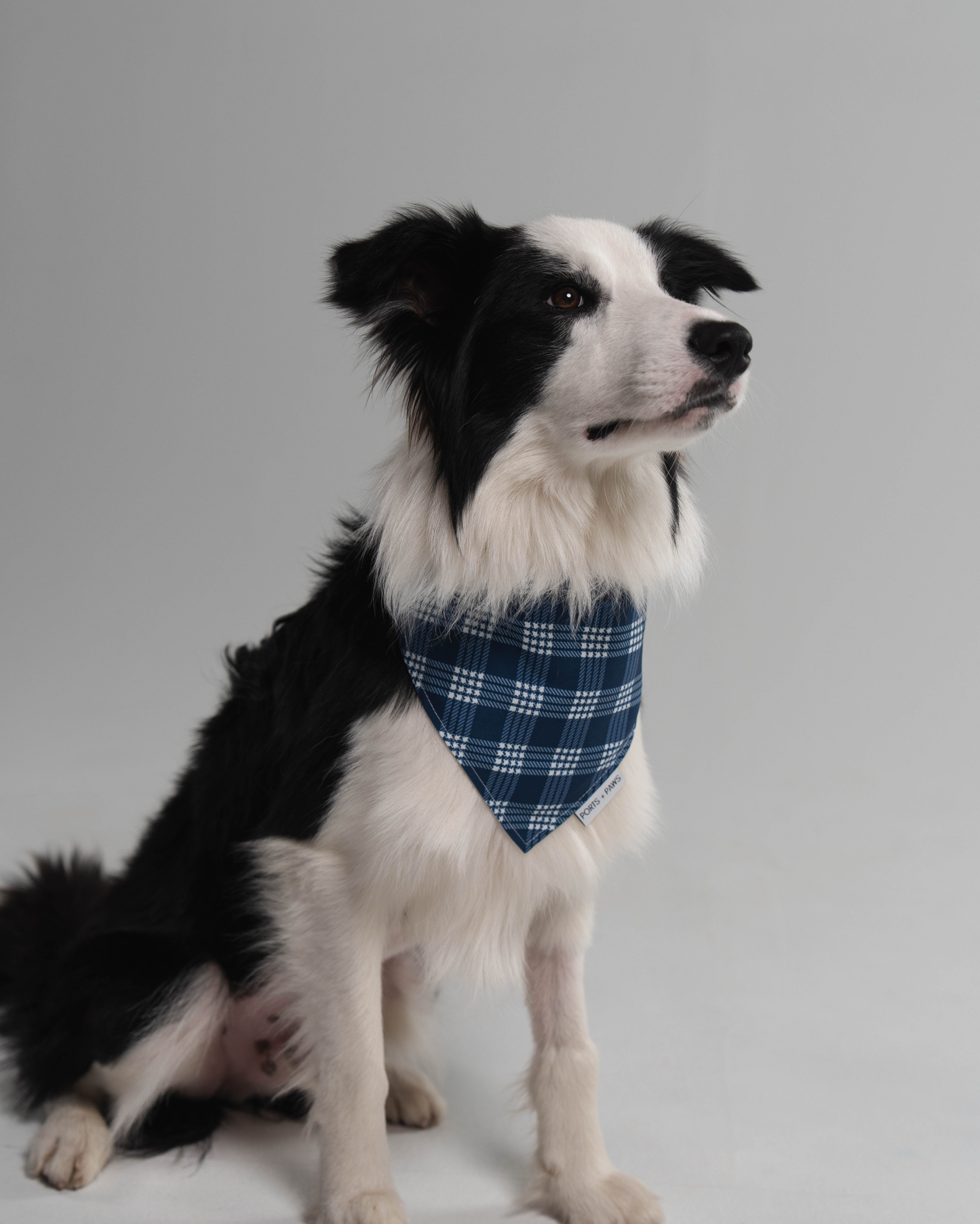 QUICK DRY BANDANA - PALAKA BLUE