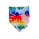 QUICK DRY BANDANA - RAINBOW MONSTERA