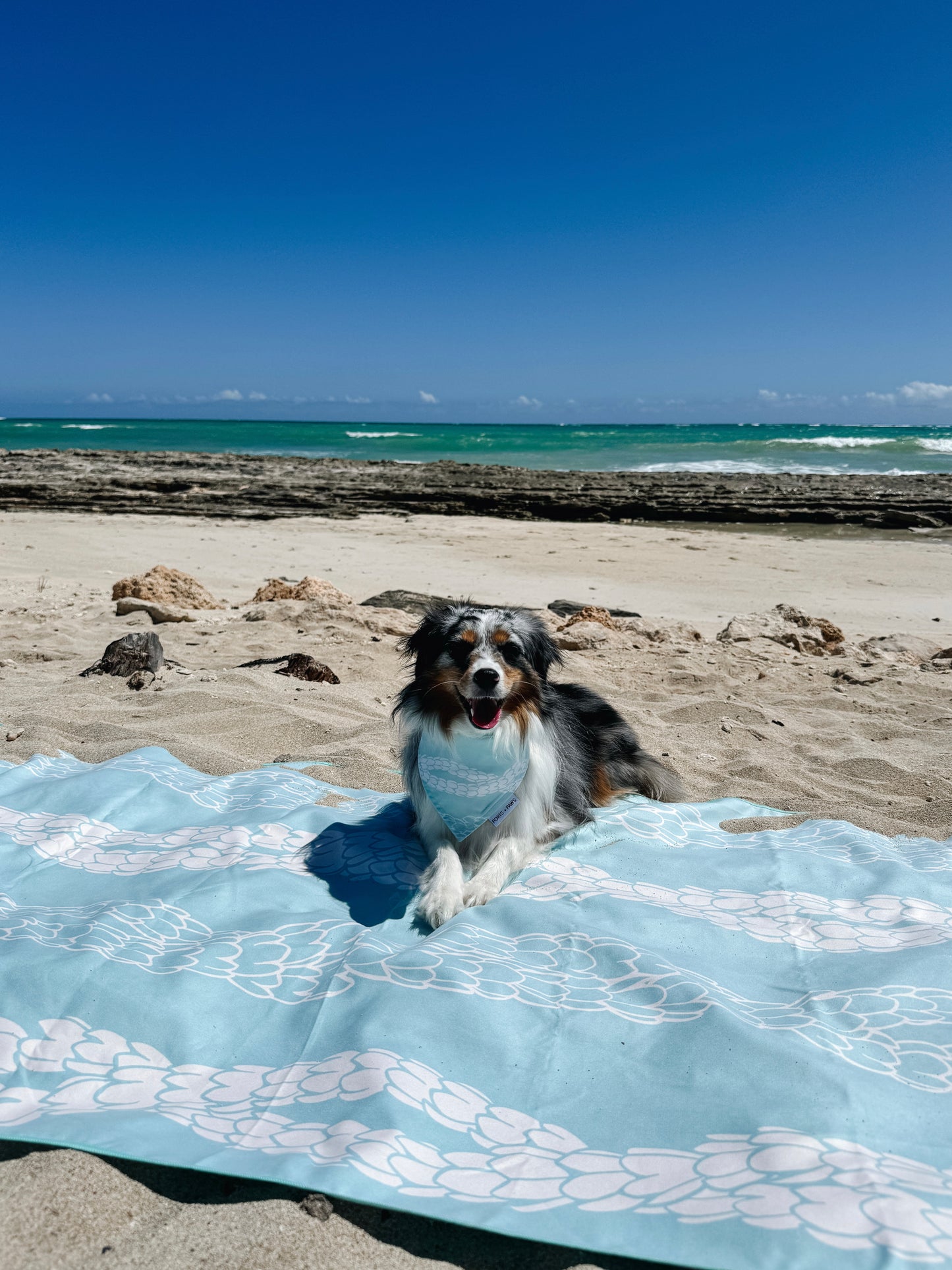 QUICK DRY BANDANA - PIKAKE LEI