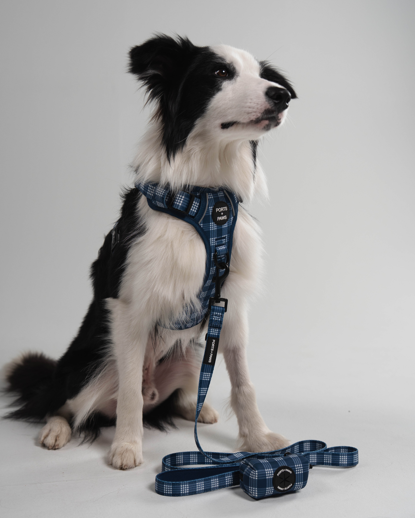 RUGGED HARNESS - PALAKA BLUE