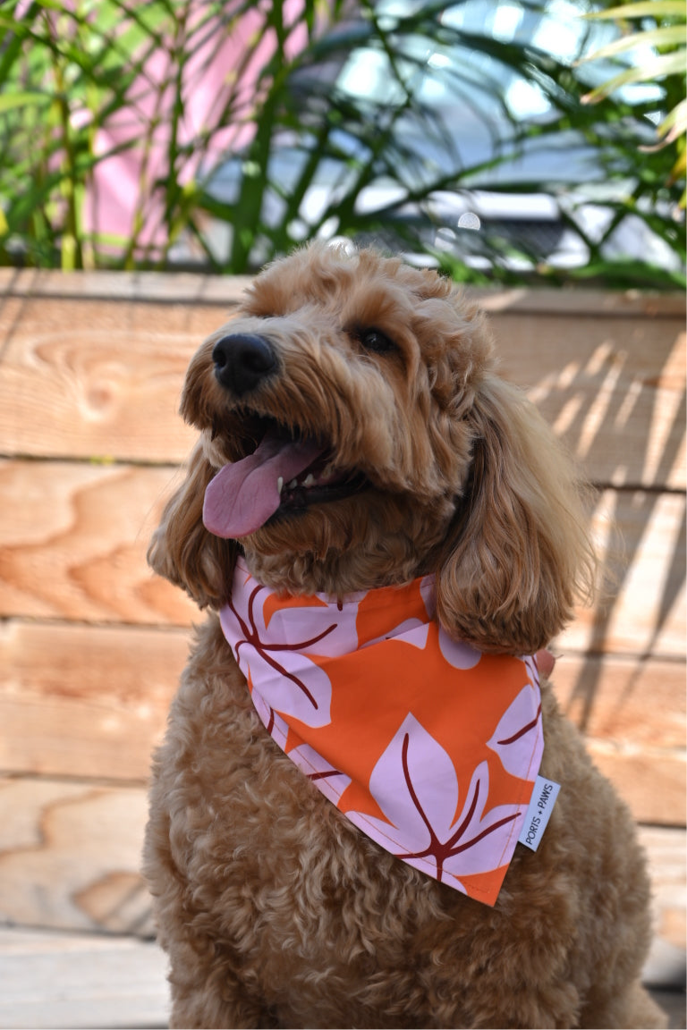 QUICK DRY BANDANA - FALL BLOOM BLUSH