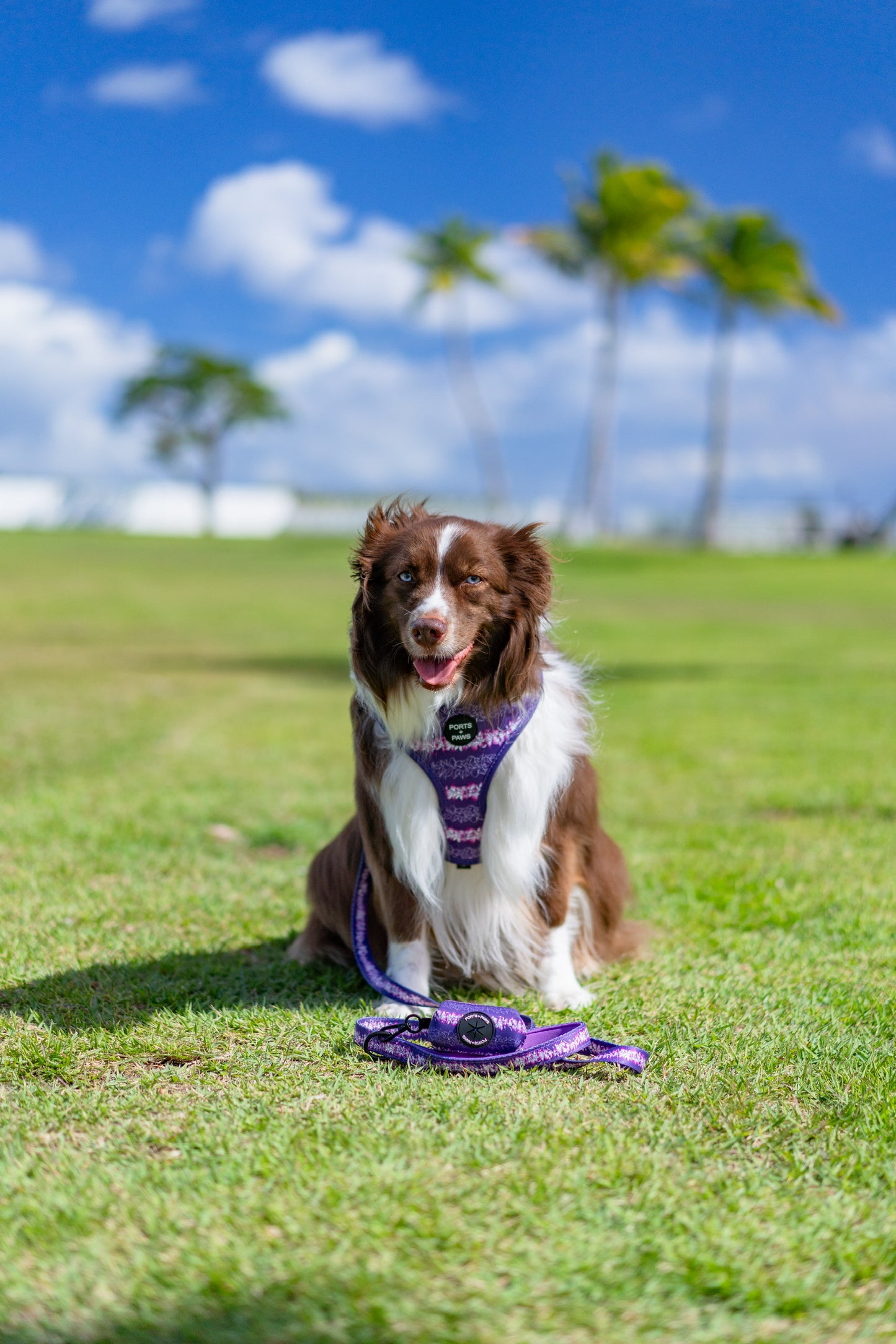 ADJUSTABLE HARNESS - ORCHID