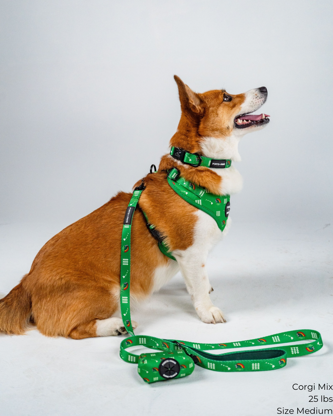 LEASH - UH VINTAGE GREEN