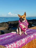 QUICK DRY BANDANA - ORCHID LEI