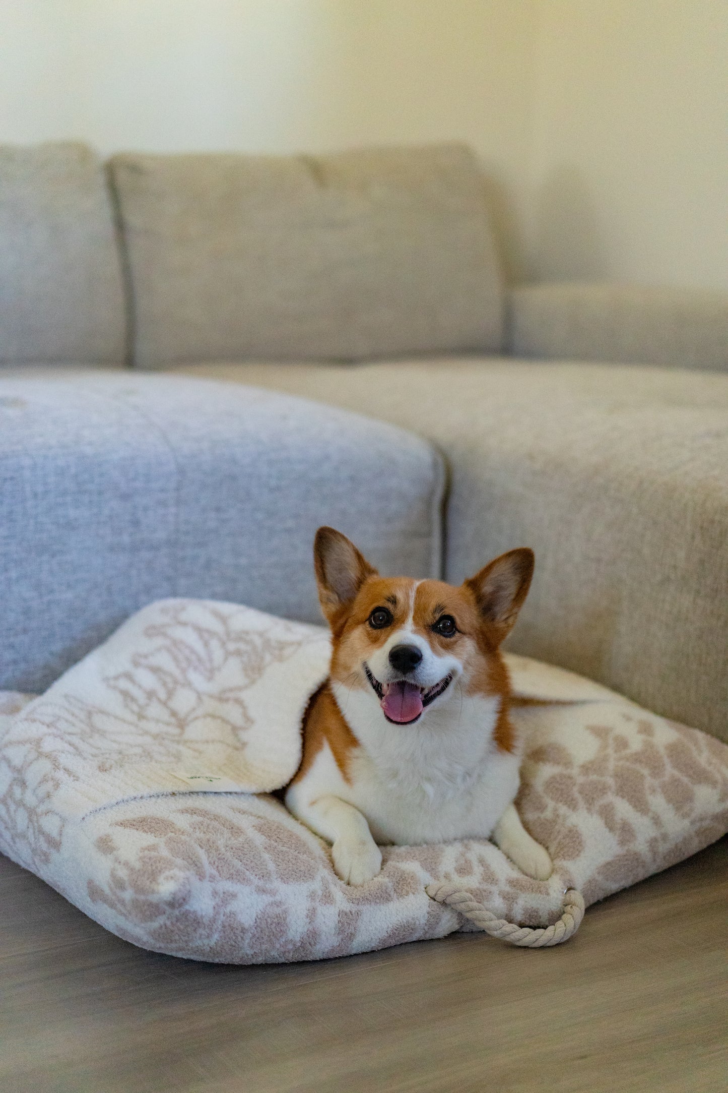 COZY DOG BED - PUAKENIKENI