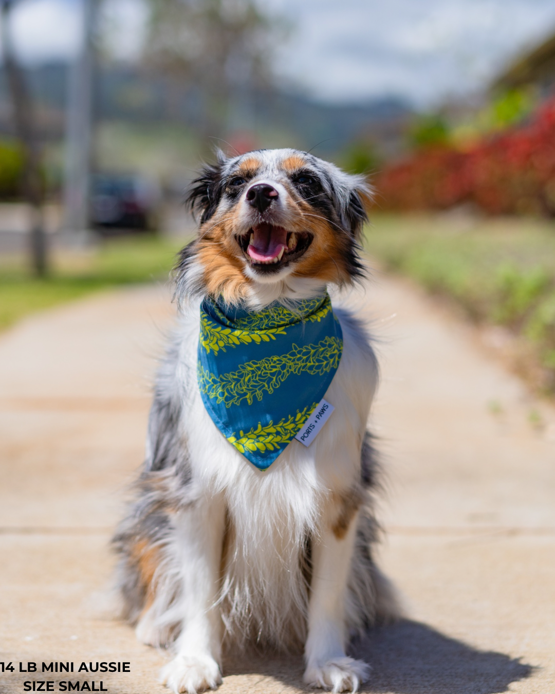 QUICK DRY BANDANA - PAKALANA LEI