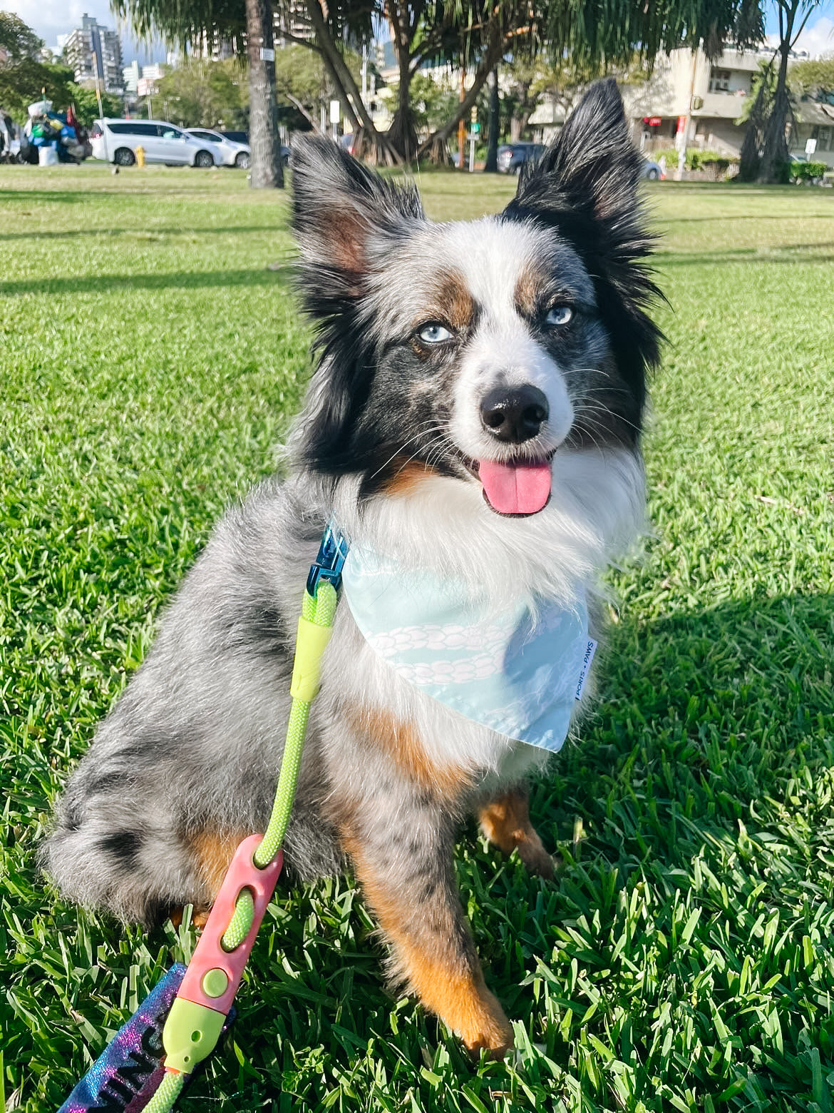 QUICK DRY BANDANA - PIKAKE LEI