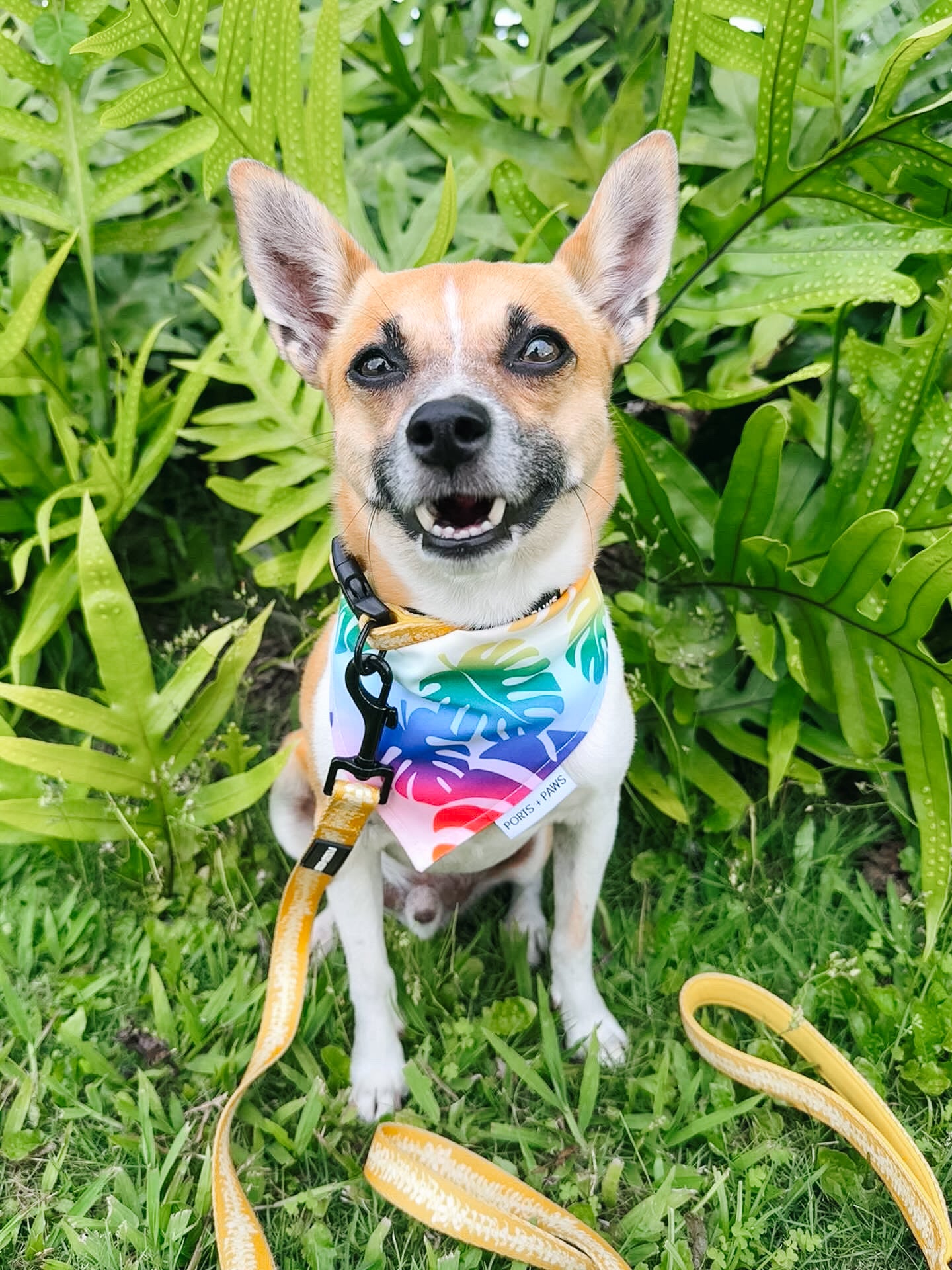 QUICK DRY BANDANA - RAINBOW MONSTERA