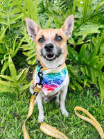 QUICK DRY BANDANA - RAINBOW MONSTERA