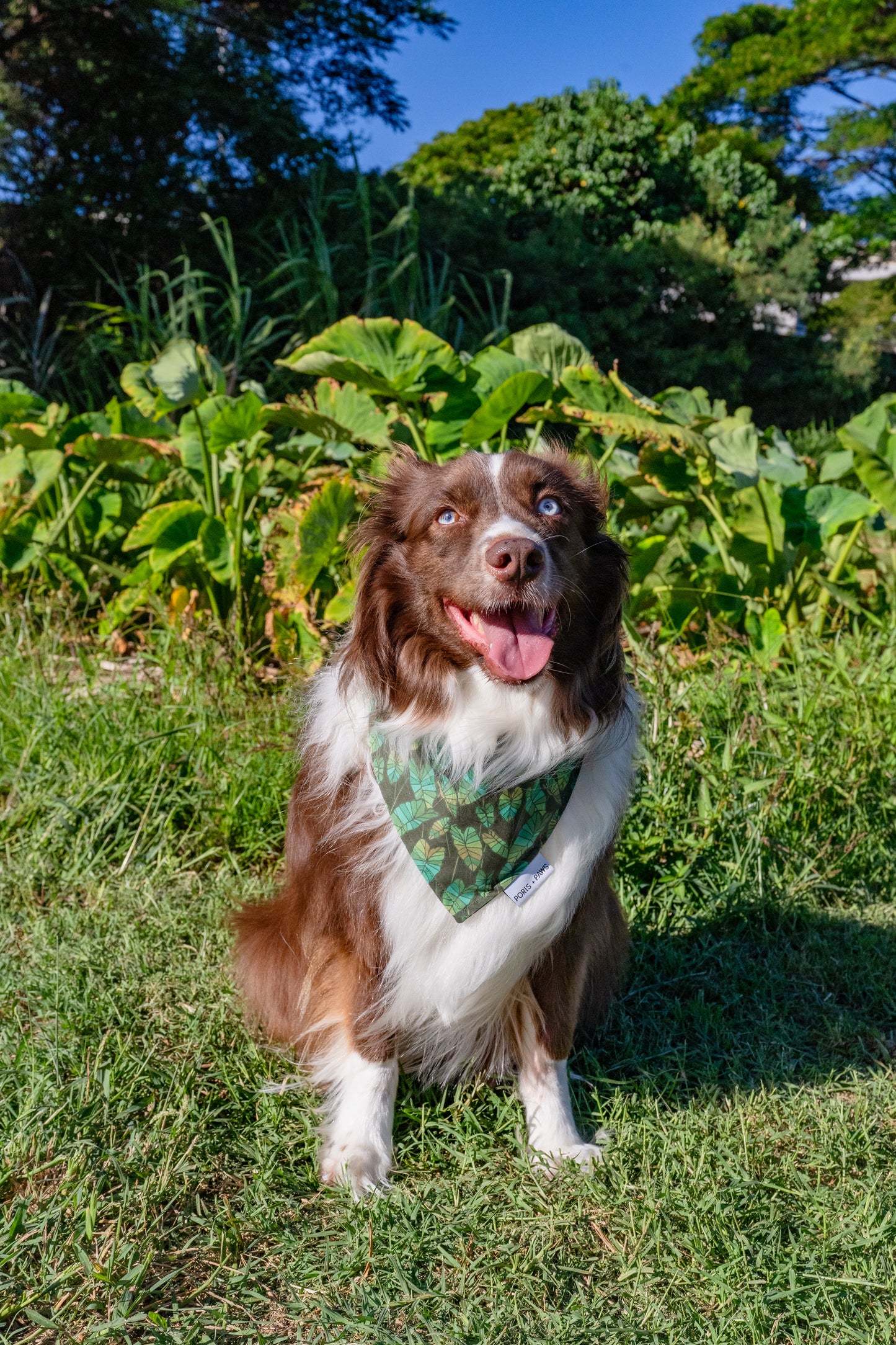 QUICK DRY BANDANA - KALO