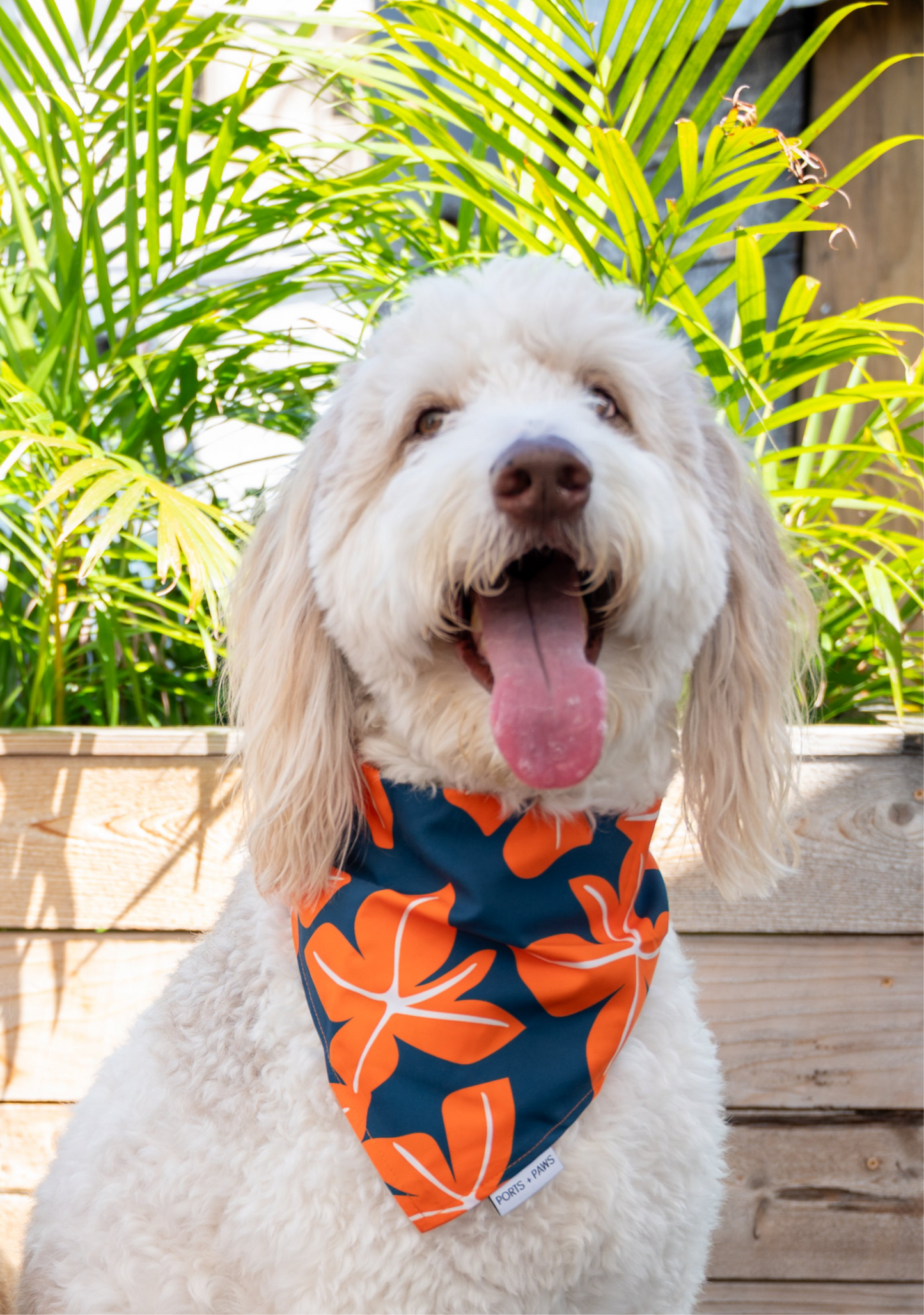 QUICK DRY BANDANA - FALL BLOOM BLUE