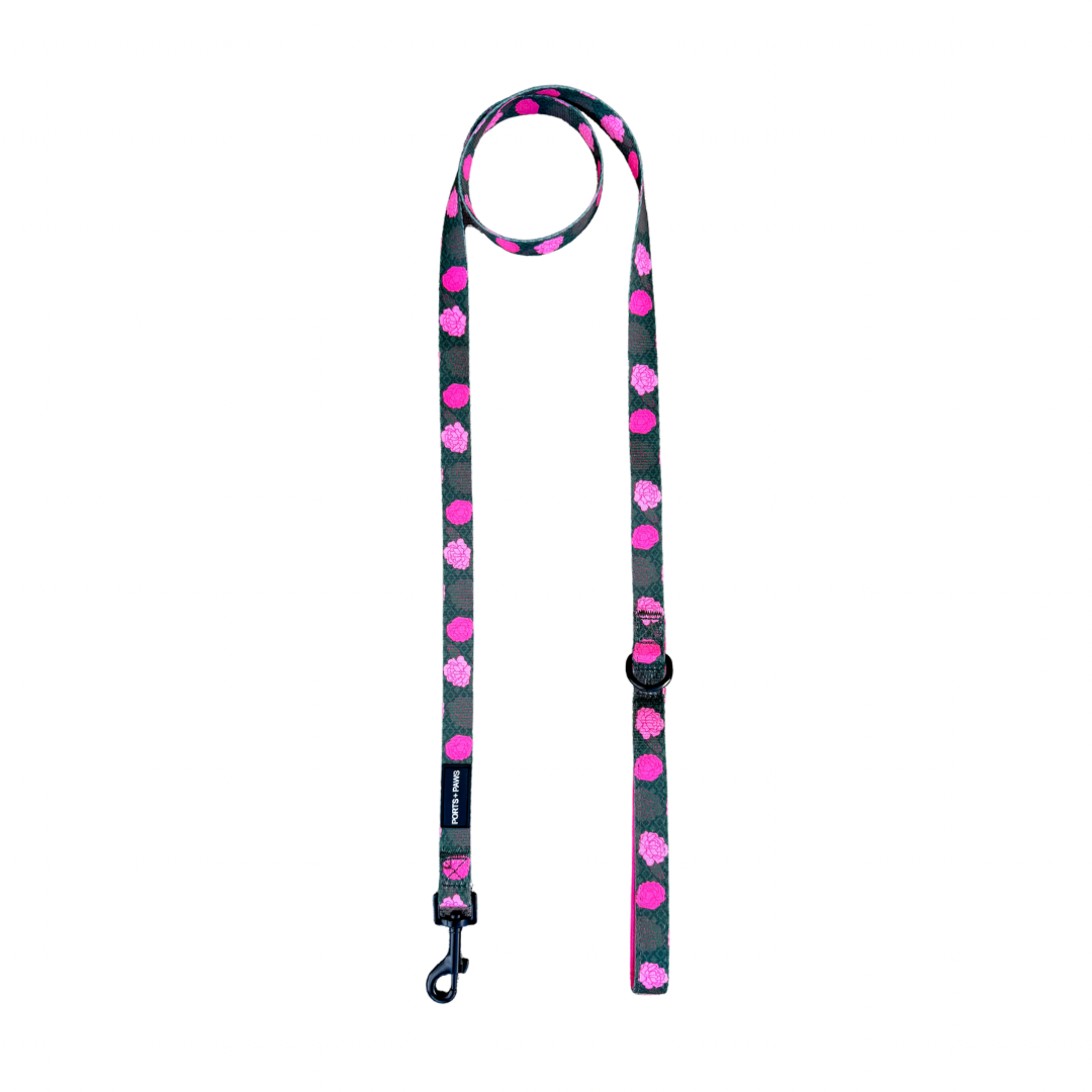 LEASH - MAUI LOKELANI ROSE